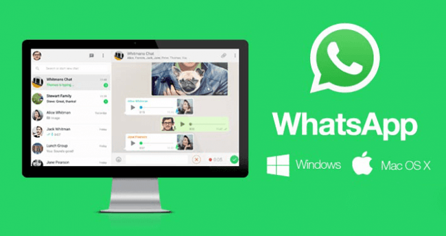 WhatsApp网页版是否支持Mac系统？