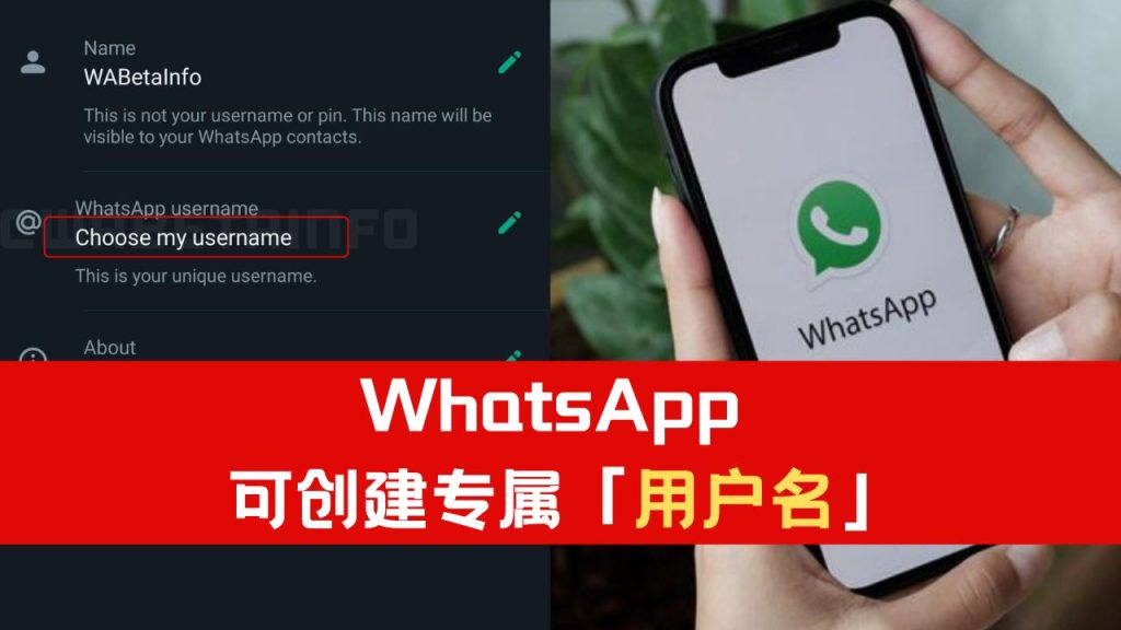 是否可以通过WhatsApp网页版修改注册信息？